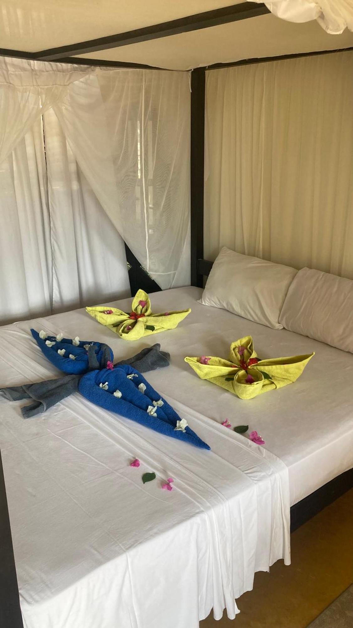 Msafini Hotel لامو المظهر الخارجي الصورة