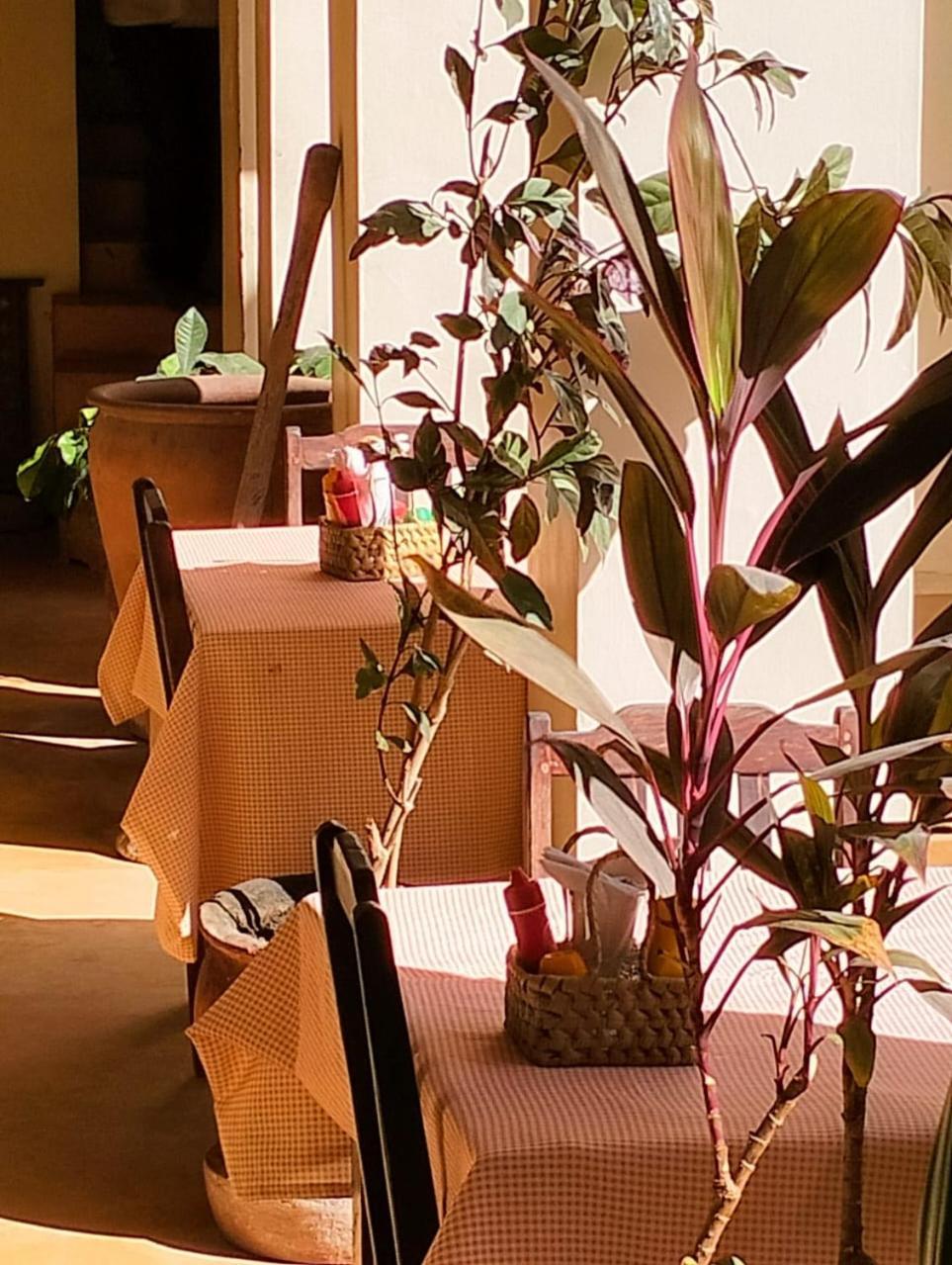Msafini Hotel لامو المظهر الخارجي الصورة